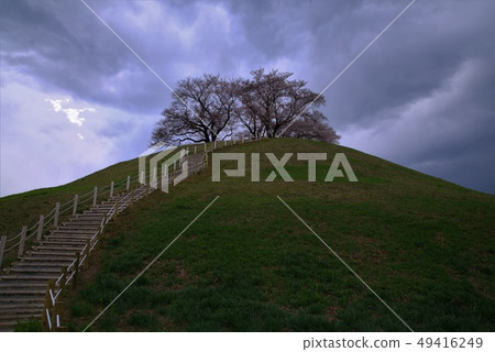 埼玉縣墓園 49416249