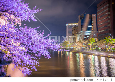 福岡九州舞鶴公園櫻花 福岡九州舞鶴公園櫻花 49417221