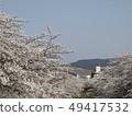 Cherry blossoms along the Sabo River and Mt. Cherry blossoms along the Sabo River and Mt. 49417532