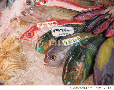 Okinawa fresh fish market 49417813