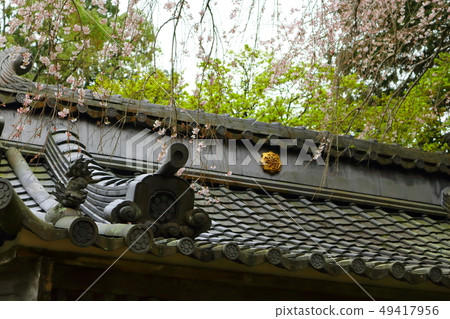 寺廟的瓦屋頂 寺廟的瓦屋頂 49417956