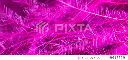 Pink feather as an abstract background 49418519