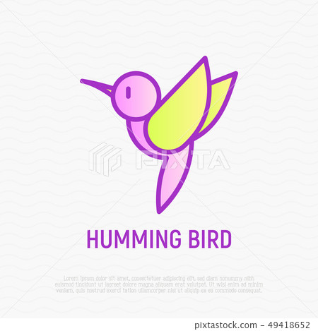 Hummingbird thin line icon - Stock Illustration [49418652] - PIXTA