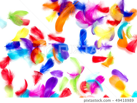 Multi-colored feathers on a white background Multi-colored feathers on a white background 49418989