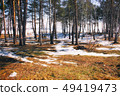 Spring forest with sun shine 49419473