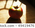 red green Apple in the Golden rays of the sun 49419476