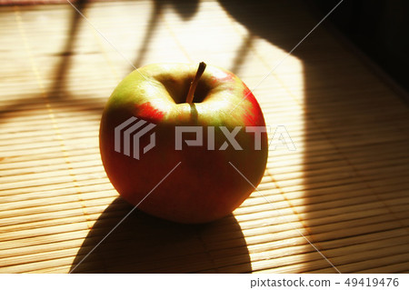 red green Apple in the Golden rays of the sun red green Apple in the Golden rays of the sun 49419476