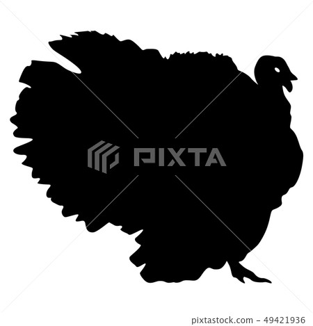Silhouette black turkey on a white background Silhouette black turkey on a white background 49421936