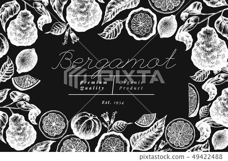 Bergamot branch design template. Kaffir lime Bergamot branch design template. Kaffir lime 49422488