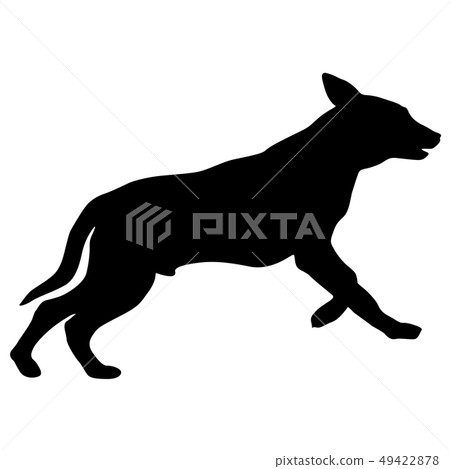 Shepherd dog silhouette on a white background 49422878