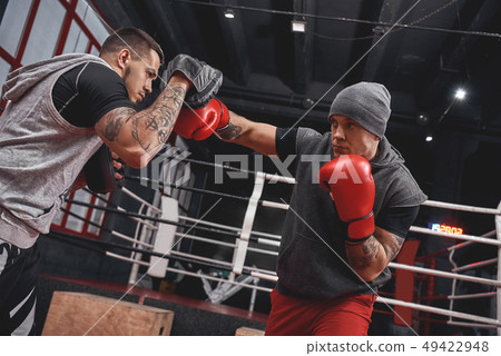 Right hook to the paw. Focused athlete in boxing gloves training on boxing paws while standing in 49422948