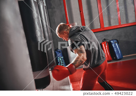 No pain no gain. Confident young boxer in red sports gloves training on heavy punch bag in boxing 49423022