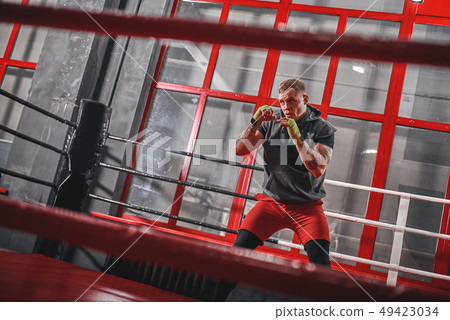 Training to be the best. Muscular tattooed boxer in sports clothing punching on red boxing ring 49423034