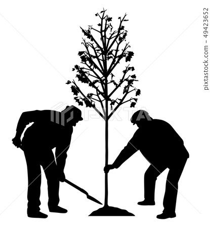 Two men planting a tree 49423652