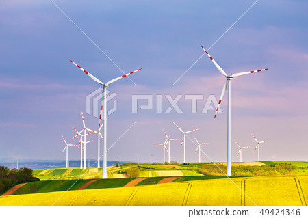 Spring yellow colza fields with wind power 49424346