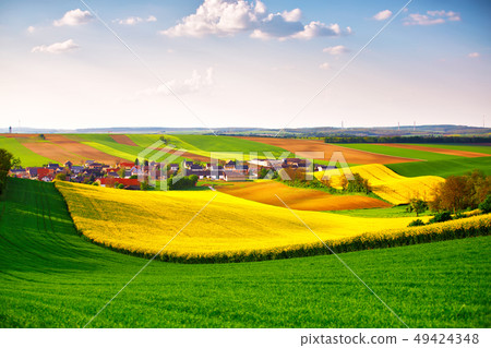 Green and yellow spring fields. Rural scene. Lower 49424348