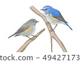 Ruribitaki 49427173