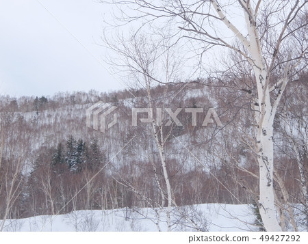 Winter landscape Winter landscape 49427292