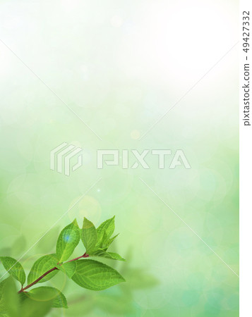 Background-fresh green-green-spring-summer-sunshine Background-fresh green-green-spring-summer-sunshine 49427332