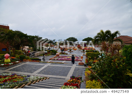 從沖繩美麗海水族館 49427549