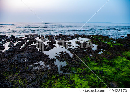 Off Jeju Island Off Jeju Island 49428170