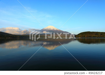 World Heritage Site Mt. Fuji Early Summer Lake Yamanaka Inverted Fuji 49428217