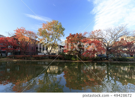 Peace Forest Park Peace Forest Park 49428672