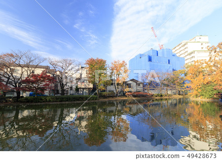 和平森林公園 和平森林公園 49428673