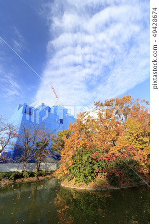 和平森林公園 和平森林公園 49428674