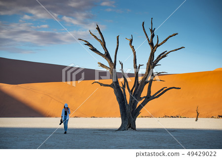Traveler near dead tree in deadvlei, Namibia 49429022
