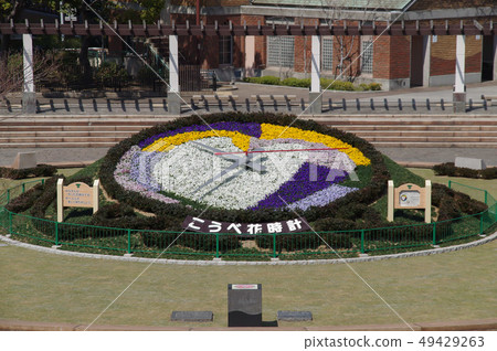 Kobe flower clock Kobe flower clock 49429263
