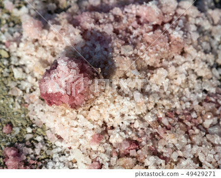 Closeup of Indian salt crystals 49429271