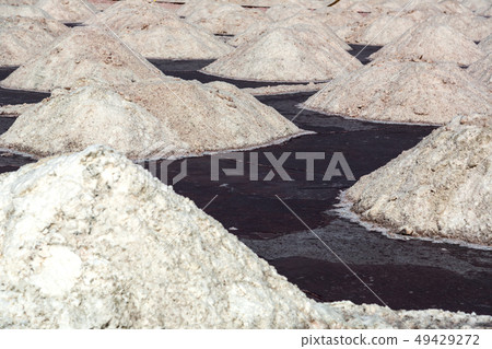 Salt field harvest Salt field harvest 49429272