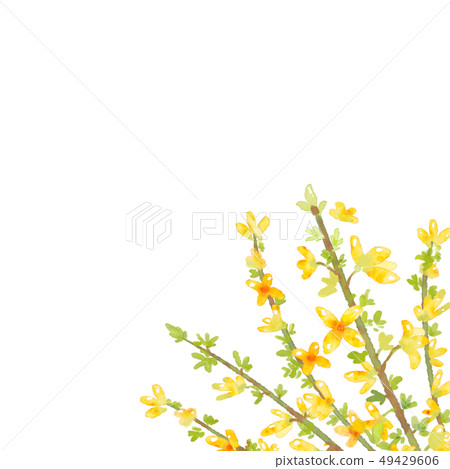 Forsythia flower frame.- Wedding, poster, cover Forsythia flower frame.- Wedding, poster, cover 49429606