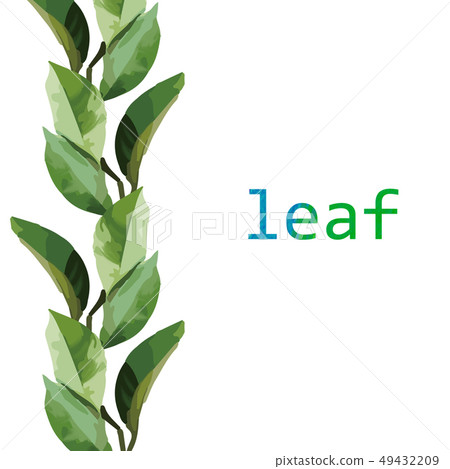 Orange and leaves illustration Orange and leaves illustration 49432209
