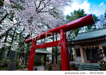 Inari Suwawa Shrine Inari Suwawa Shrine 49433690
