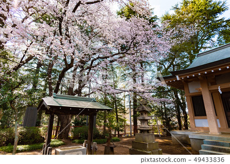 Inari Suwawa Shrine Inari Suwawa Shrine 49433836