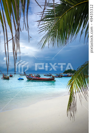 Tropical beach in Koh Lipe, Thailand 49435312