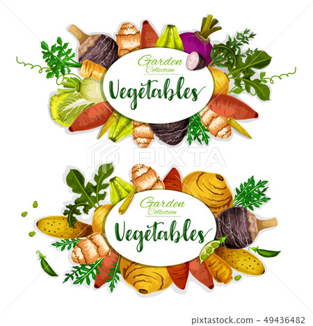Exotic vegetables with taproot, herbs and beans 49436482