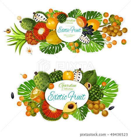 Exotic fruits with tropical palm leaves 49436523