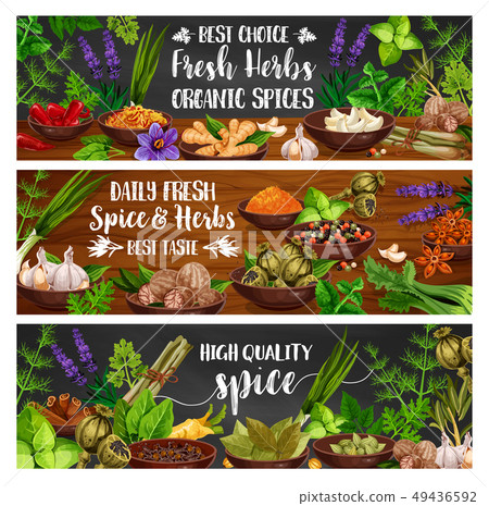 Spices, culinary herbs and vegetable seasonings Spices, culinary herbs and vegetable seasonings 49436592