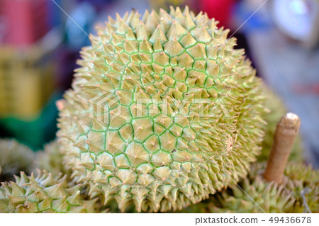 Durian selling at local market Durian selling at local market 49436678