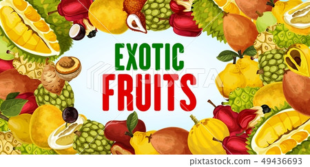Exotic fruits and tropical berry frame banner Exotic fruits and tropical berry frame banner 49436693