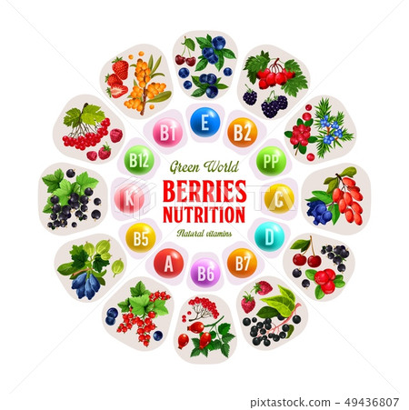 Berries and fruits rich of vitamins and minerals 49436807