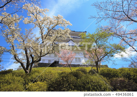 小田原城 小田原城 49436861