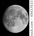 Moonlight night 49437633