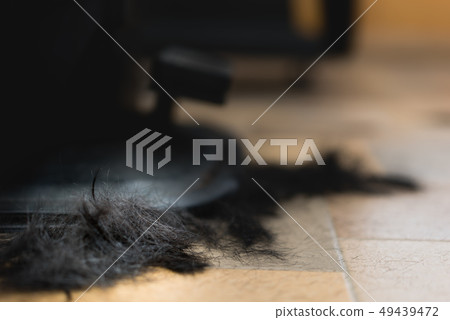 Hair after haircut 49439472