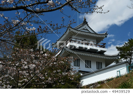 Owari大野城堡在春天 49439529