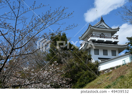 Owari Ohno castle in spring 49439532
