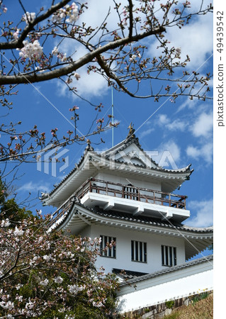 Owari大野城堡在春天 49439542